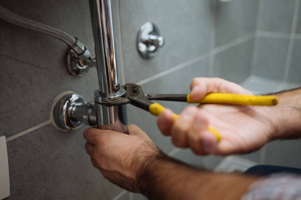 Best Sewer Line Repair  in Federalsburg, MD