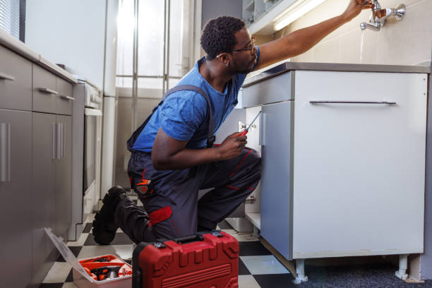Best Residential Plumbing Services  in Federalsburg, MD